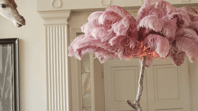 Luxury Ostrich Feather Resin LED Floor Lamp
