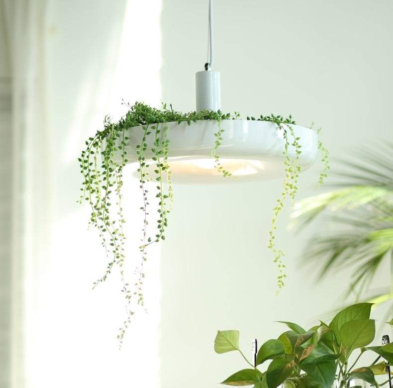 Modern Plant Pendant Lights